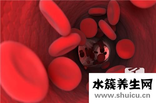 人體有多少血