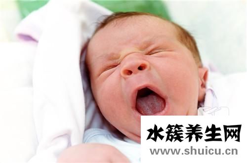 嬰兒指甲剪