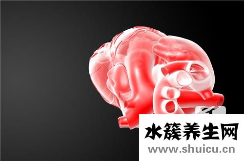 臍動脈