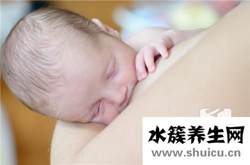 回奶寶