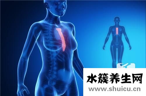 肺部有結節