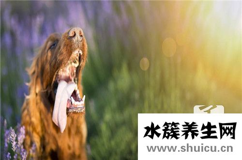 蟻走感