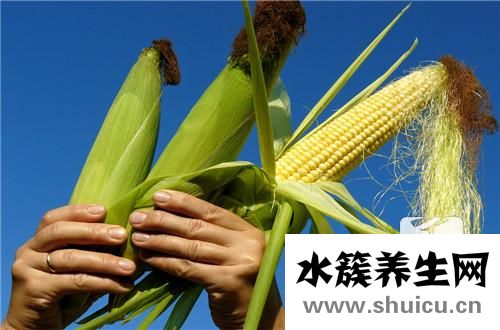 黑玉米的功效與作用