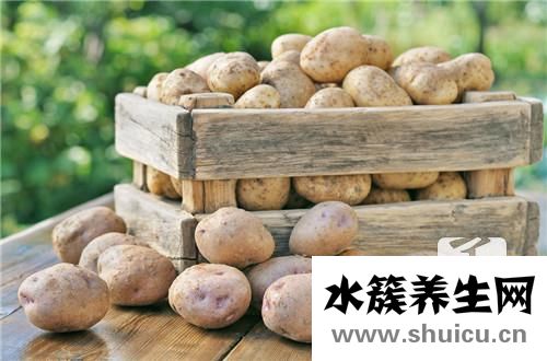 尖椒土豆絲