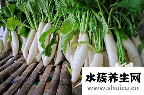 白蘿卜的做法大全家常