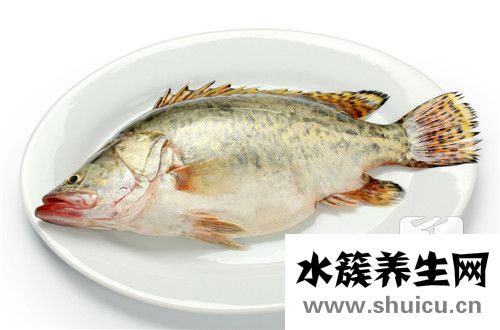 酸湯