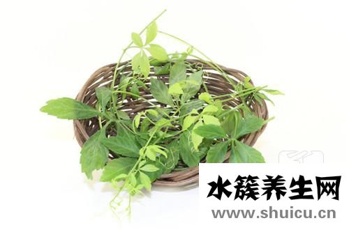 絞股藍龍須茶