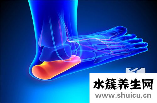 跟骨骨刺
