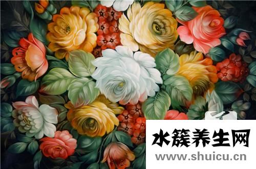 重瓣紅玫瑰功效與作用