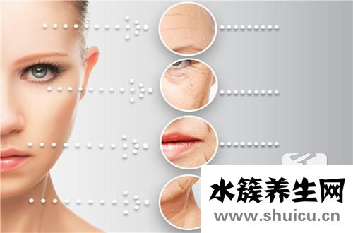 面部除皺針