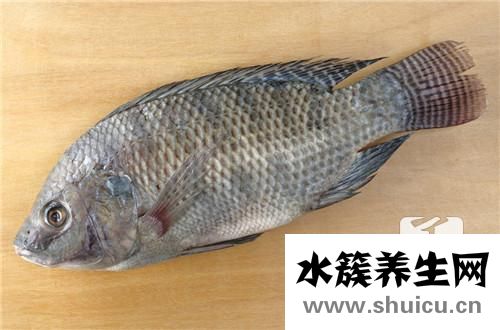 草魚的做法大全家常