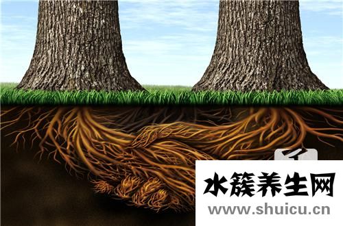 水溶性丙烯酸樹脂