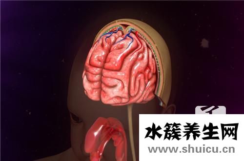 流腦癥狀
