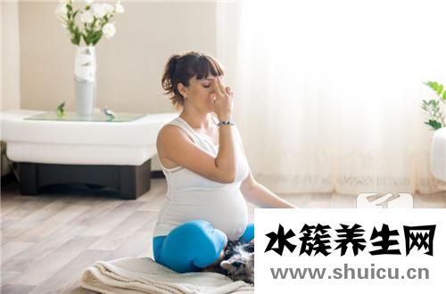 孕婦吃的奶粉