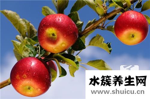孕婦咳嗽有痰吃什么好的快