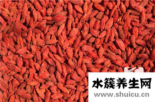 枸杞子有什么功效