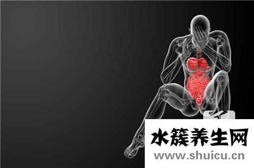 肝臟的生理功能
