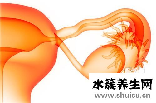 子宮肌瘤原因