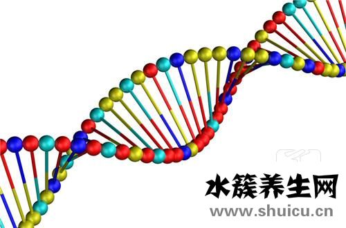 身高體重計算公式
