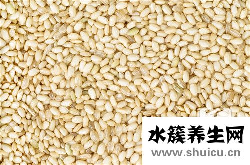 粳米是什么
