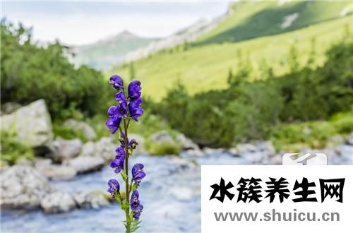 烏頭堿中毒