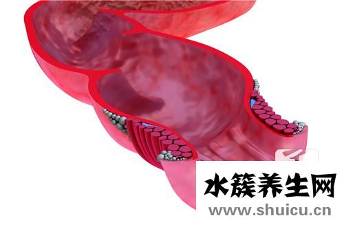 括約肌松弛