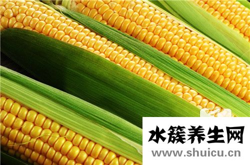 玉米的營養價值