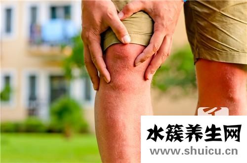 半月板損傷治療