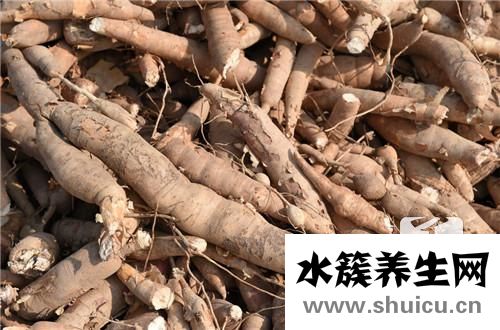 山藥胡蘿卜排骨湯