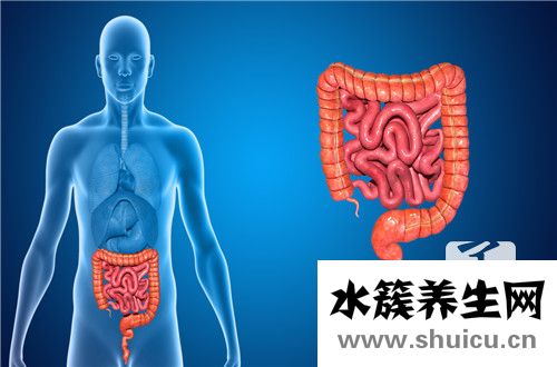 腸子疼