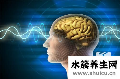 左腦右腦