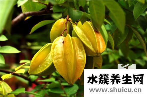 鴨的做法