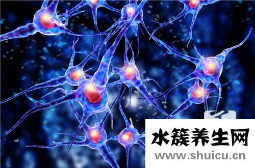 神經調節的基本方式
