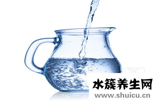 鵝掌柴
