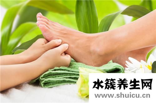 桂皮的功效與作用