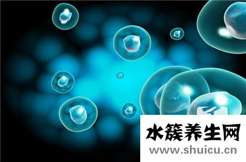 紅細胞壓積偏低是什么意思