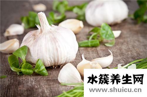 蒜泥菠菜