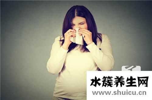 酸漿果