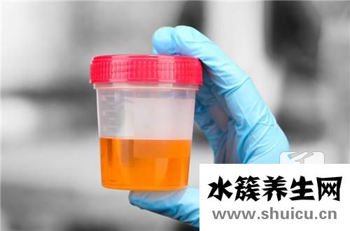酮體弱陽性