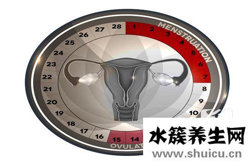 排卵后體溫