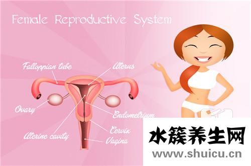 懷孕還會排卵嗎