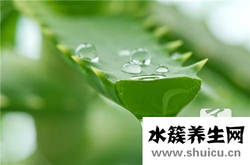 防二手煙最好辦法