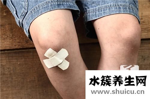 半月板退變