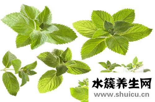 解決肚子脹氣最快方法