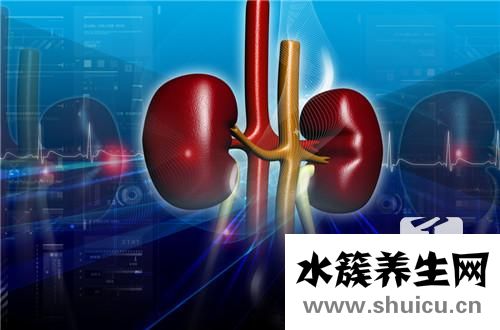 什么運動對腎好