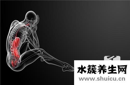 積是什么意思