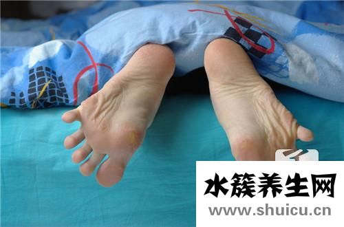 雞尤泰