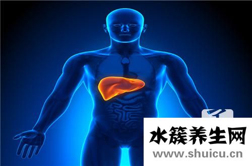 肝不好吃什么藥
