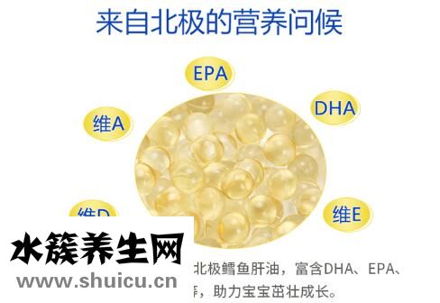 澳洲dha