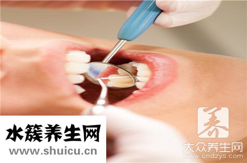 牙斑菌